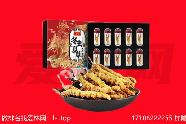 临猗县回收虫草.jpg